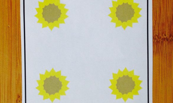Die Sonnenblume (Mengenerfassung 1 – 6)